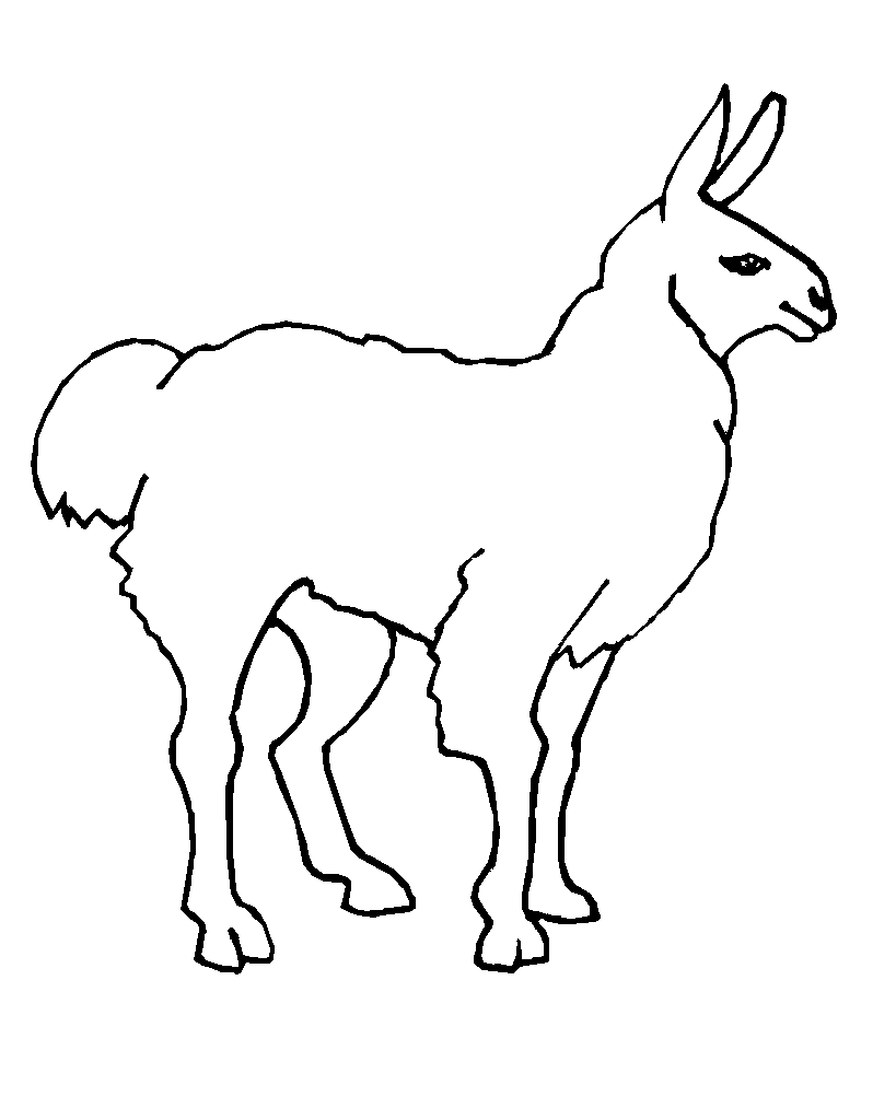 Download Llama Coloring Pages - Best Coloring Pages For Kids
