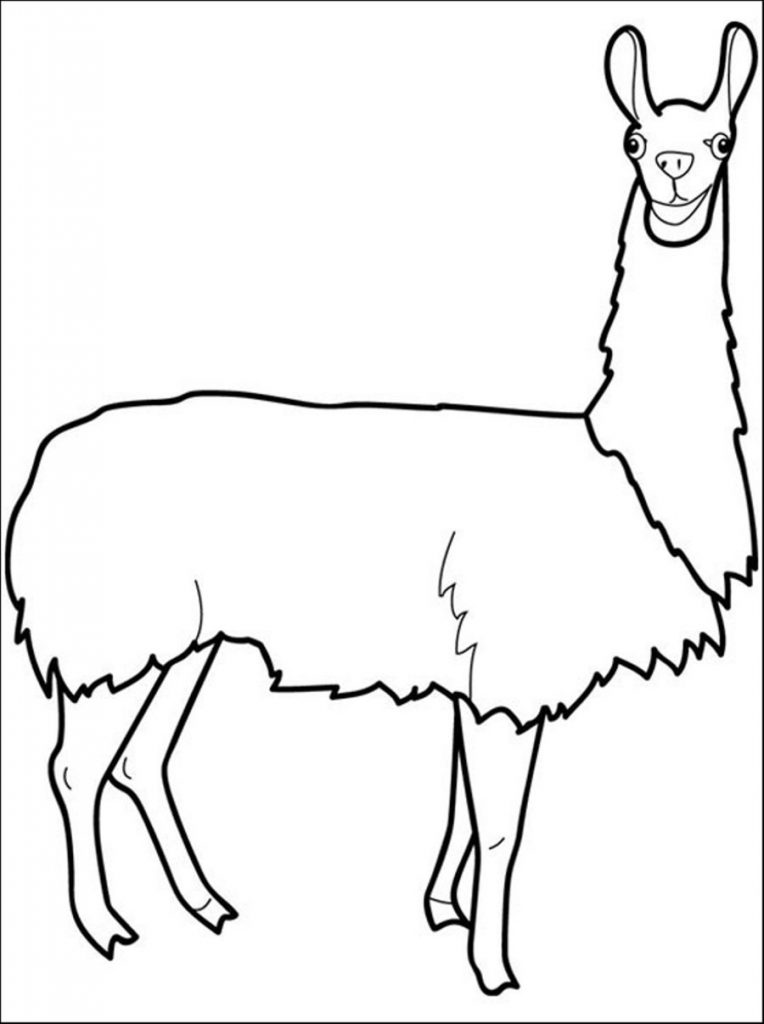 Llama Printable Coloring Page