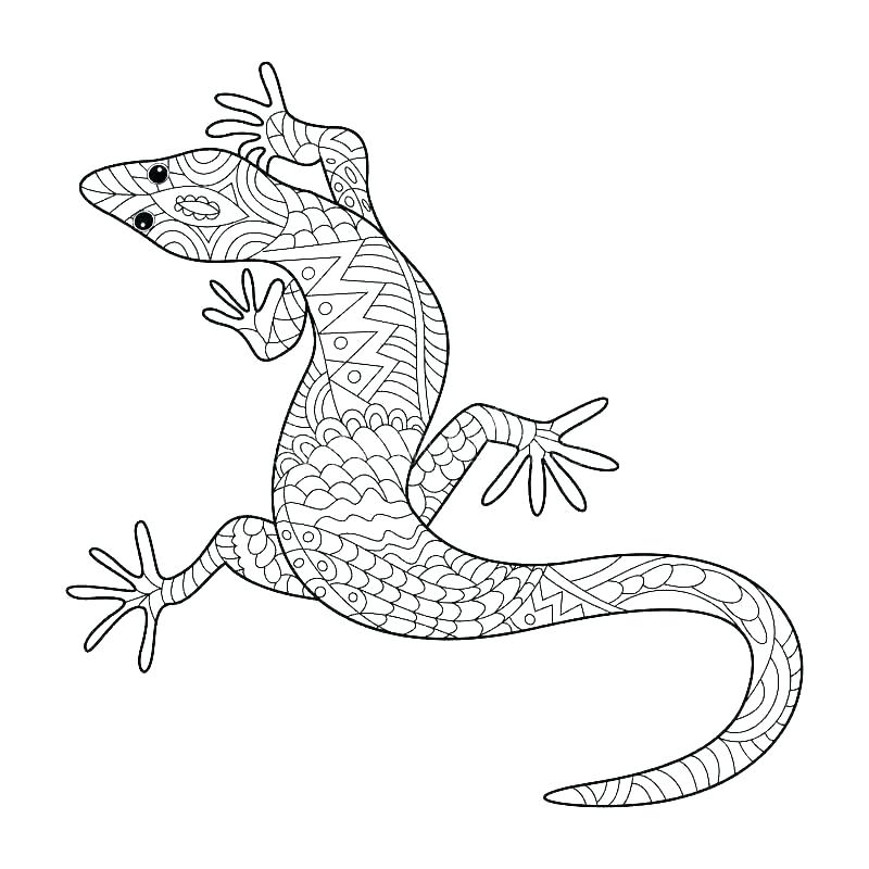 Pattern Gecko Coloring Page