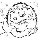 Pet Hedgehog Coloring Pages