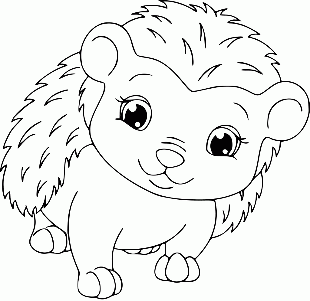 Pretty Hedgehog Coloring Page