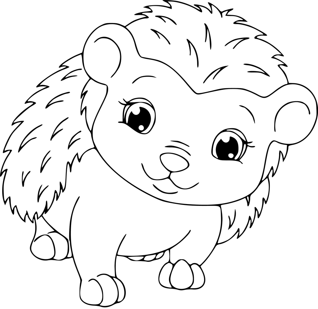 Hedgehog Coloring Pages - Best Coloring Pages For Kids