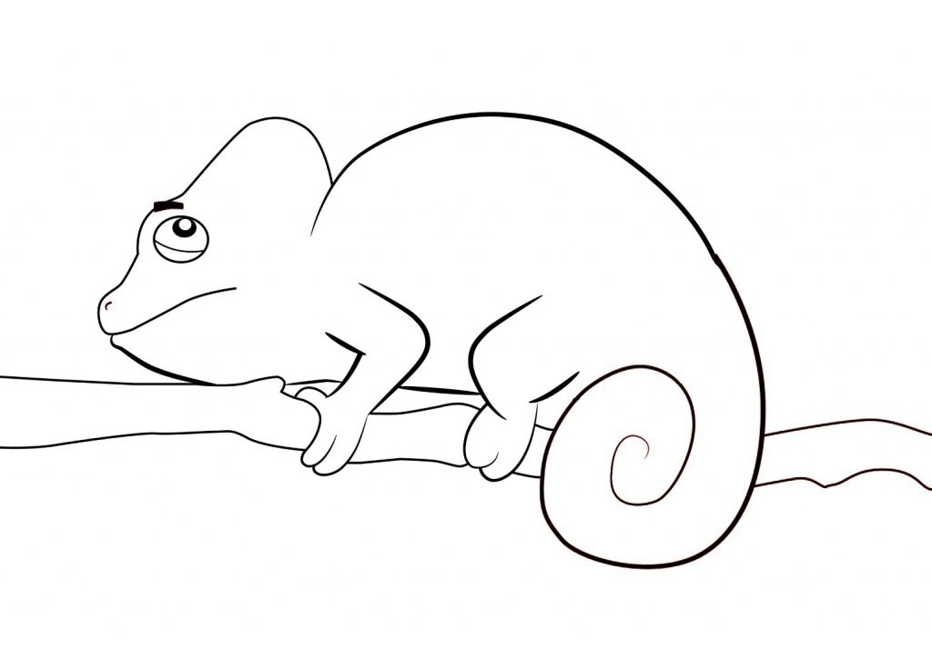 Chameleon Coloring Pages - Best Coloring Pages For Kids