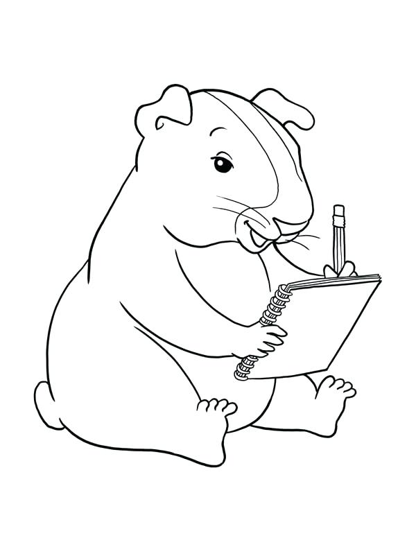 Smart Guinea Pig Coloring Page