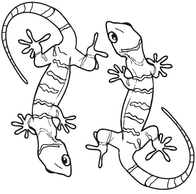 Two Cute Geckos Coloring Page
