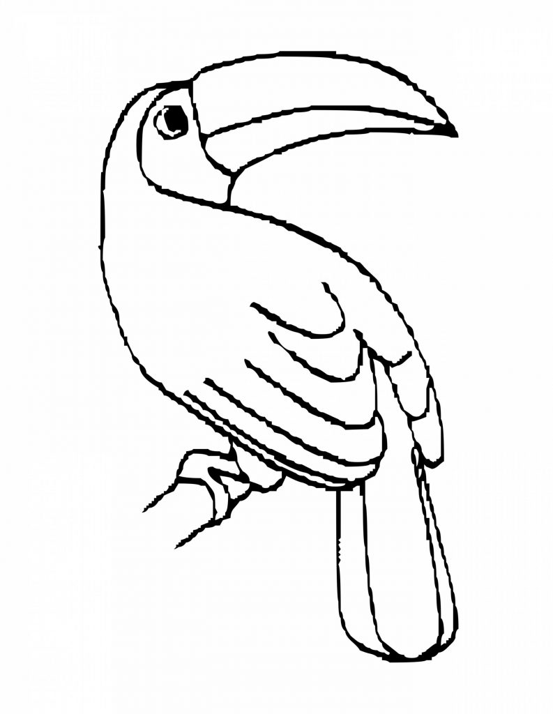 Bird Toucan Coloring Pages