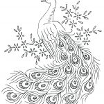 Color Peacocks Printable Sheet