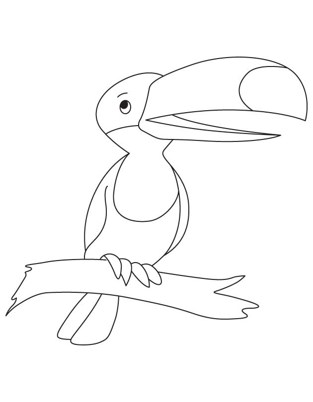 cute-toucan-coloring-coloring-pages