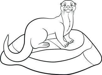 Otter Coloring Pages - Best Coloring Pages For Kids