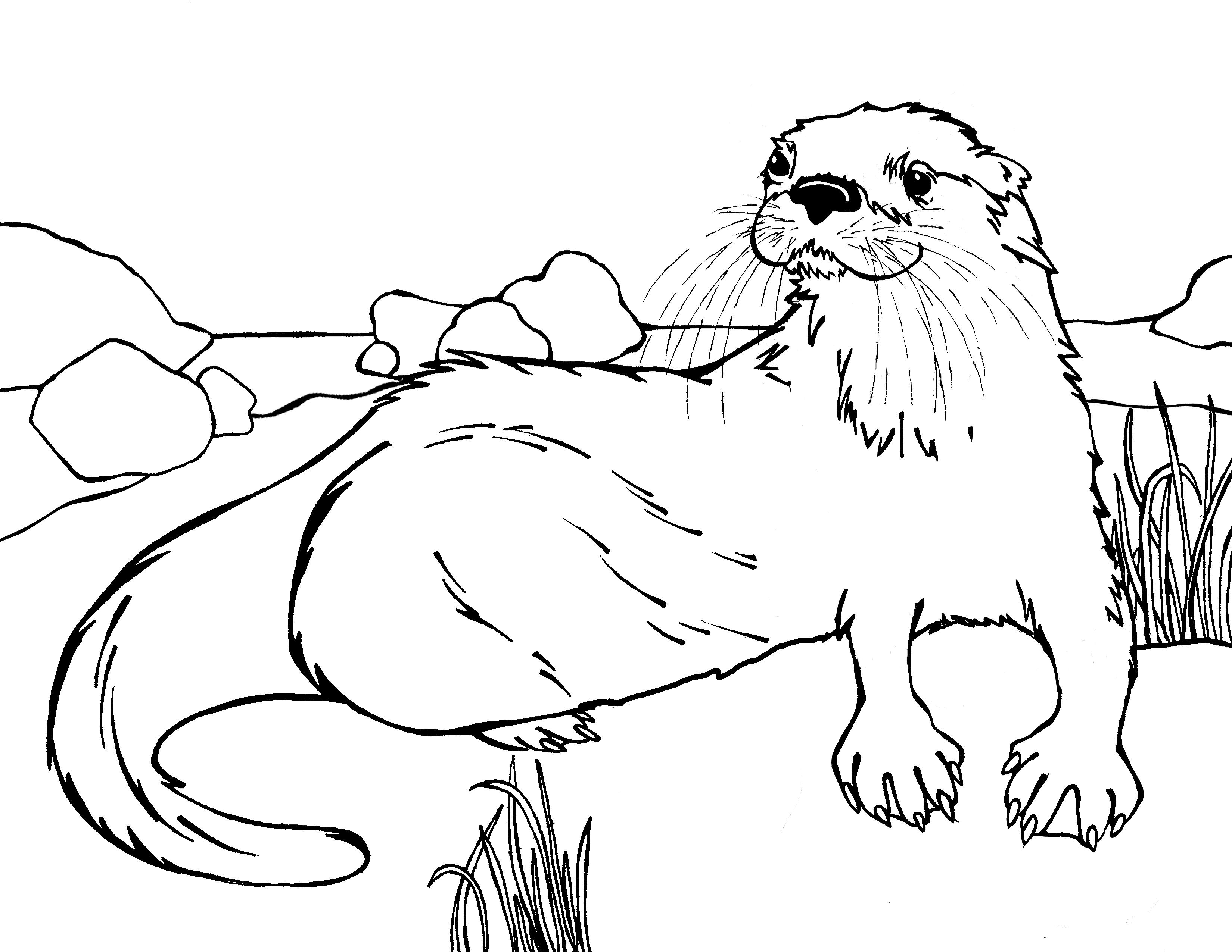 cute otter coloring pages