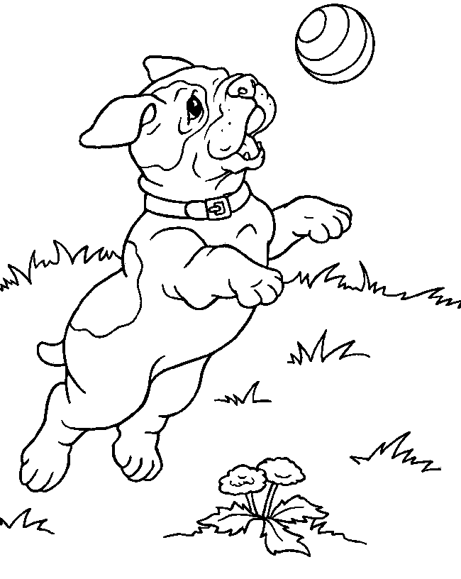 Cute Pitbull Puppy Playing With A Ball Coloring Page