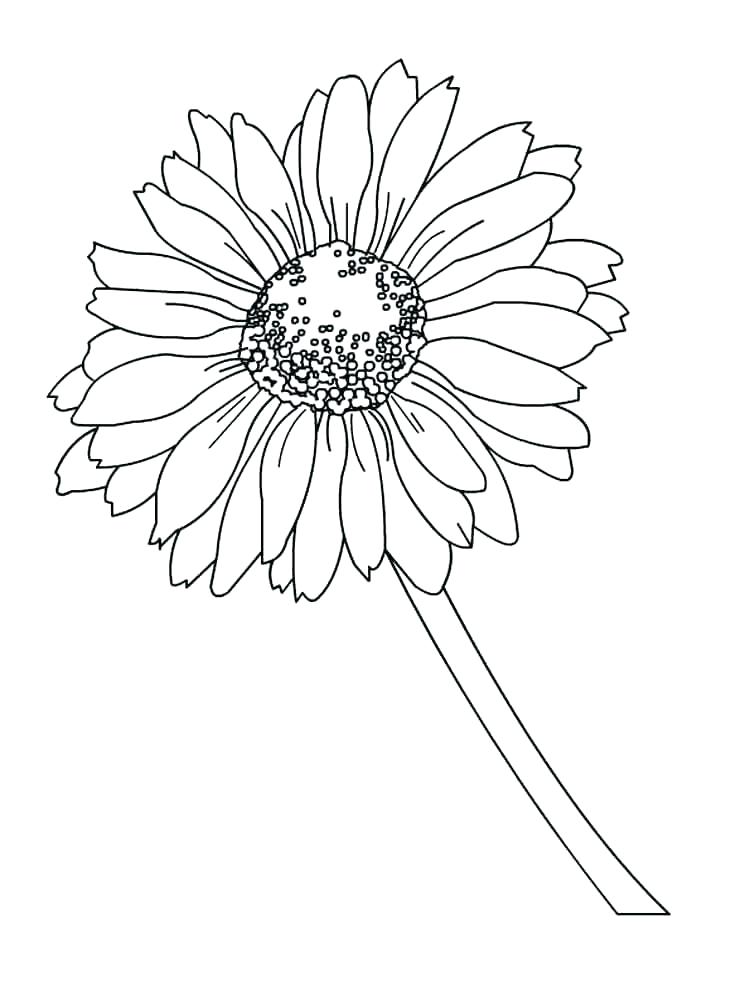 Daisy Coloring Pages Best Coloring Pages For Kids