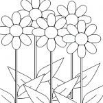 Daisy Flowers Growing Coloring Page