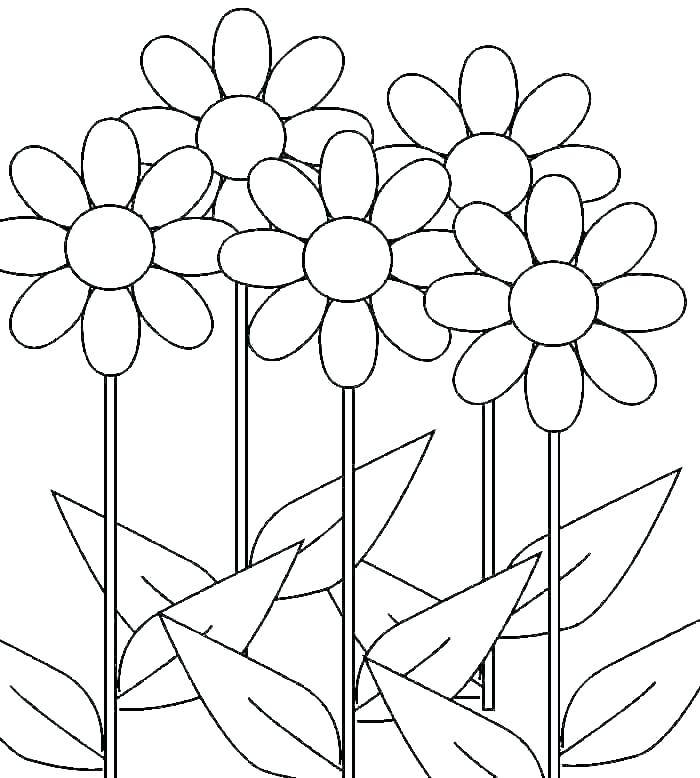 Daisy Flowers Growing Coloring Page