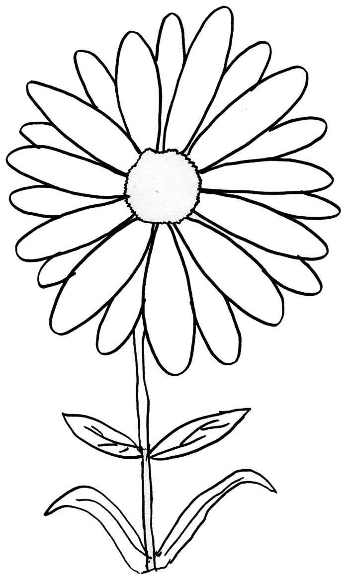 Daisy Coloring Pages - Best Coloring Pages For Kids