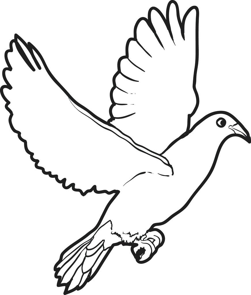 Dove Printable Coloring Pages