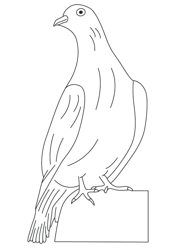 Dove Coloring Pages - Best Coloring Pages For Kids