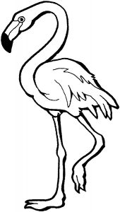 flamingo coloring pages  best coloring pages for kids