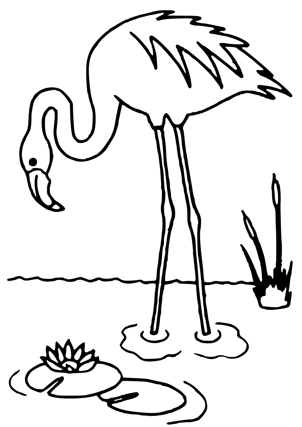 Flamingo Coloring Pages Best Coloring Pages For Kids