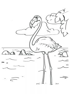 flamingo coloring pages  best coloring pages for kids