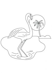 flamingo coloring pages  best coloring pages for kids