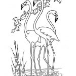 Flamingos Coloring Page