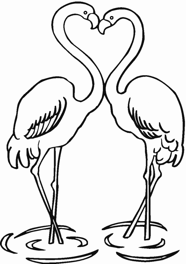 Flamingo Coloring Pages - Best Coloring Pages For Kids