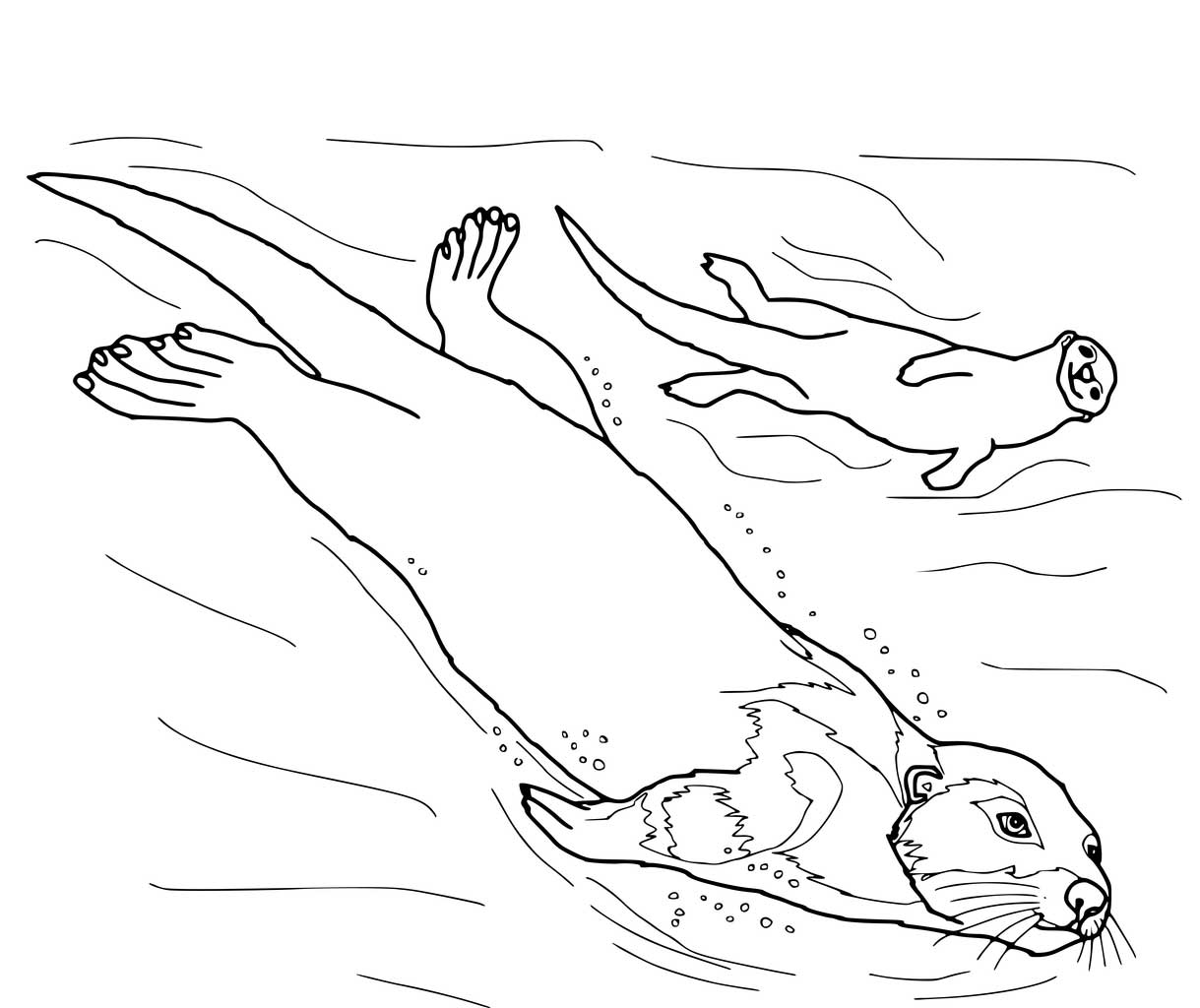 cute otter coloring pages