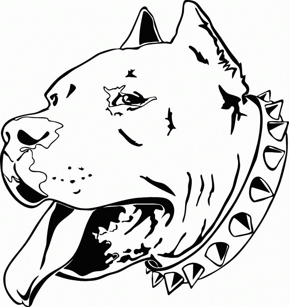 Pitbull Head Coloring Page