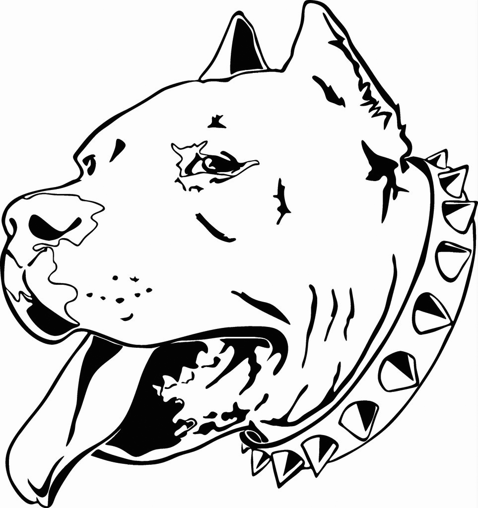 Pitbull Coloring Pages - Best Coloring Pages For Kids