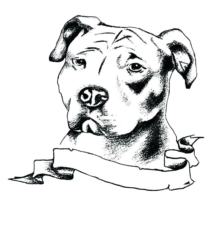 Pitbull Coloring Pages - Best Coloring Pages For Kids