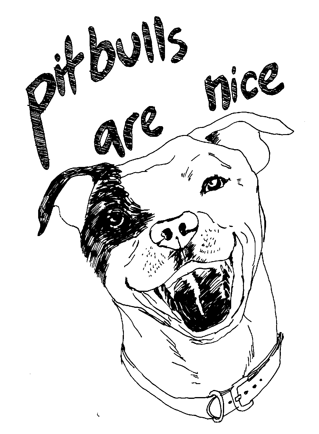 Pitbull Coloring Pages - Best Coloring Pages For Kids