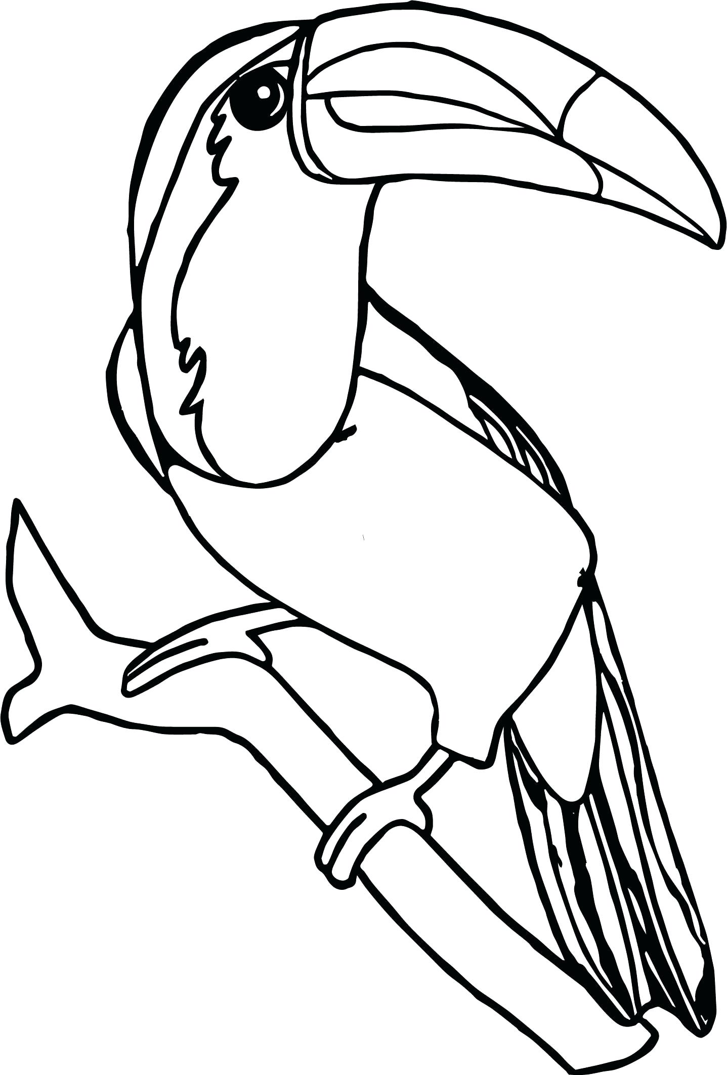 Toucan Coloring Pages Best Coloring Pages For Kids