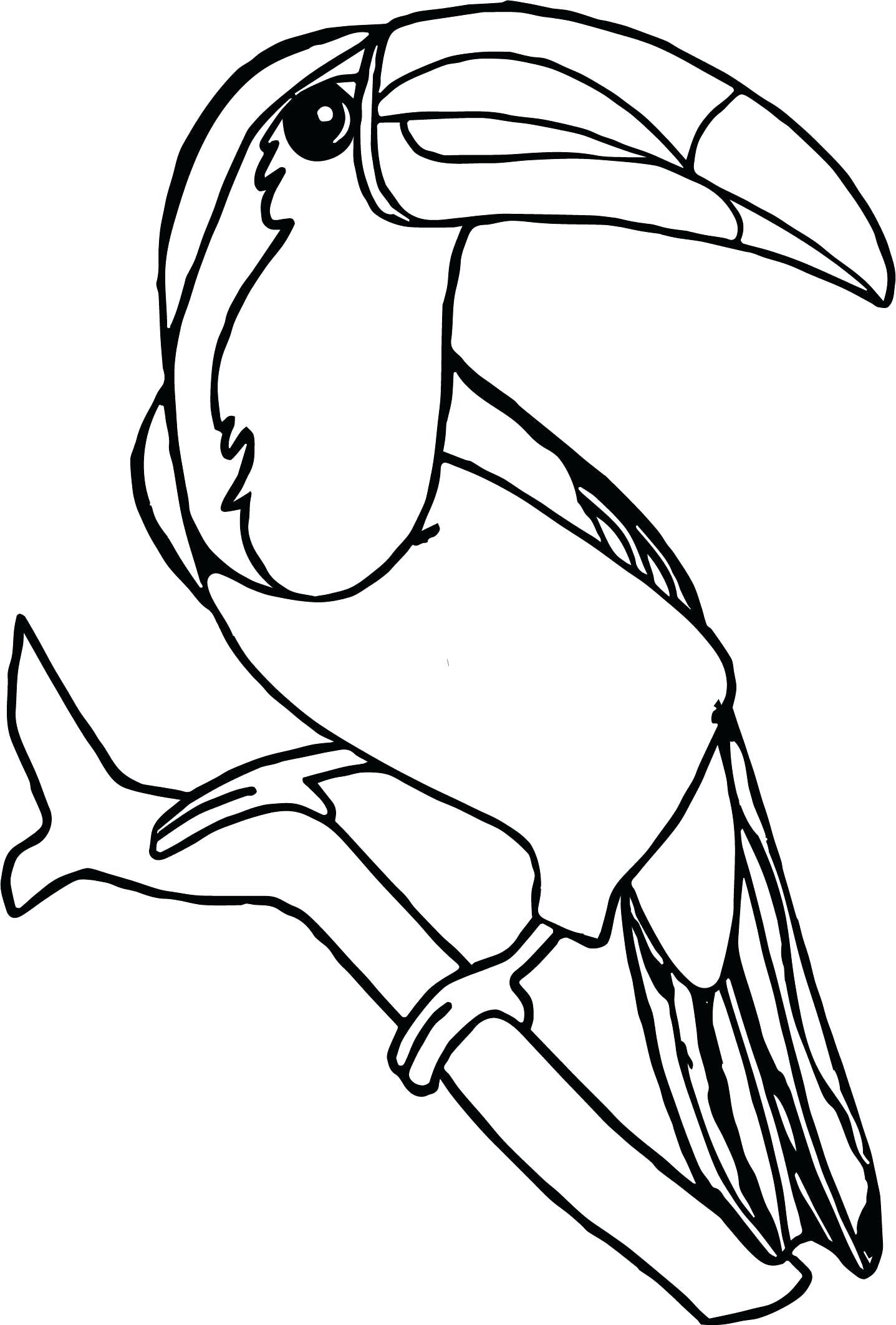 Toucan Coloring Page Printable Printable Word Searches