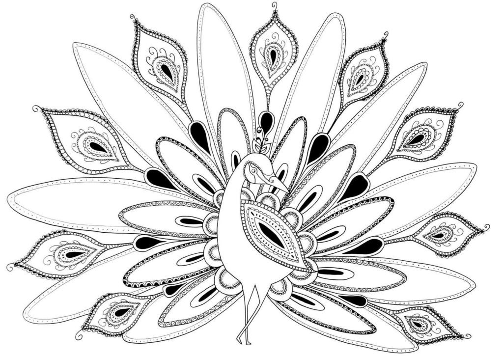 Free Peacock Coloring Pages Awesome Imagination Peacock Coloring Page Pages Printable In Tiny Draw