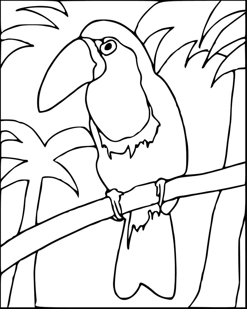 Toucan Coloring Pages