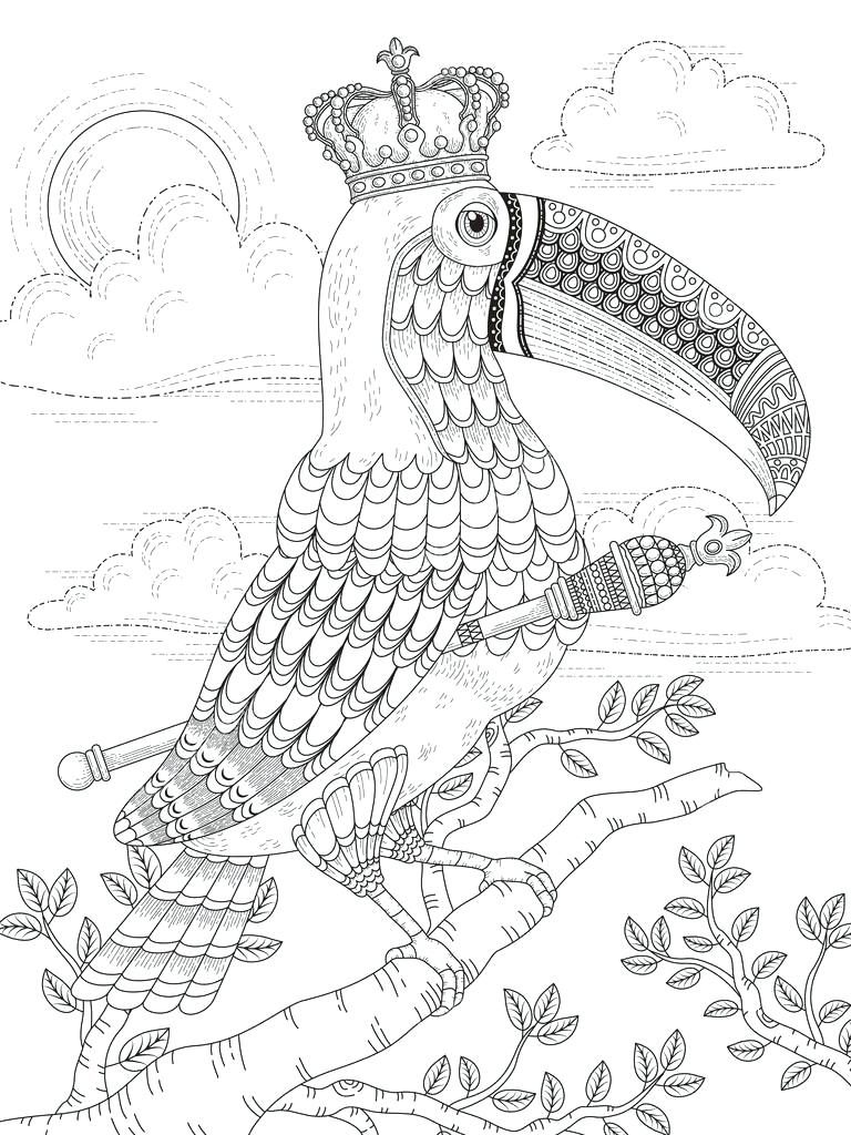 Toucan Coloring Pages For Adults