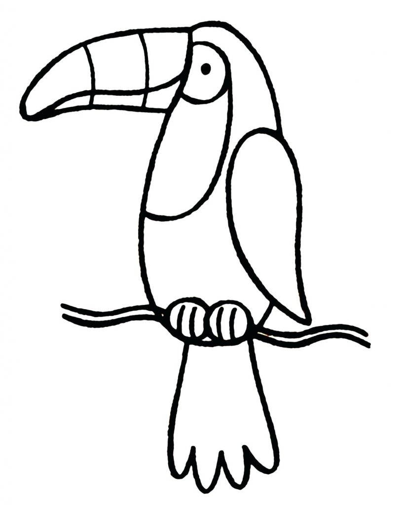 Toucan Line Art Coloring Pages