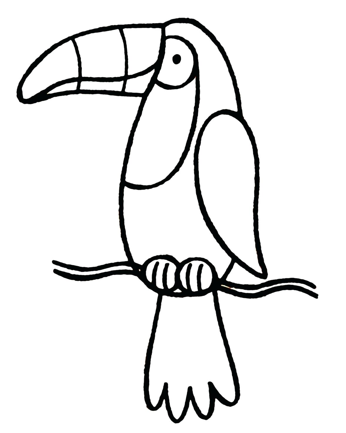 Toucan Coloring Pages Best Coloring Pages For Kids
