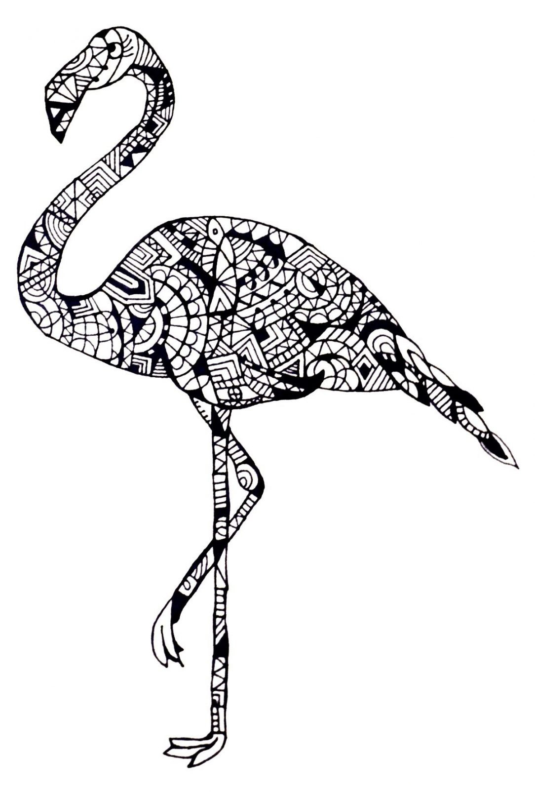 Flamingo Coloring Pages Best Coloring Pages For Kids