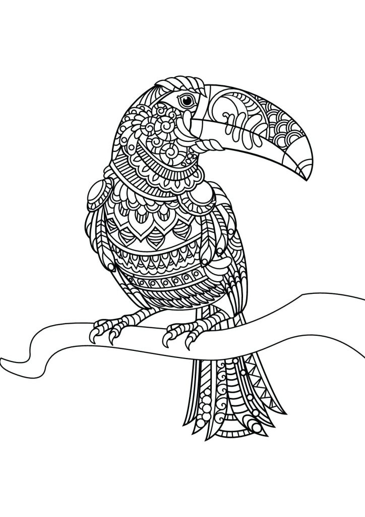 Zen Toucan Coloring Pages