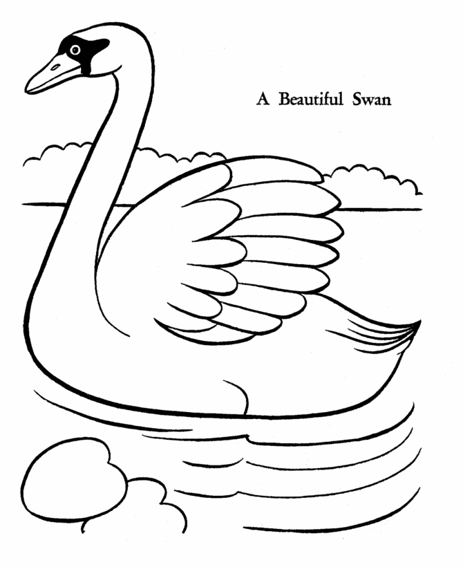 A Beautiful Swan Coloring Page