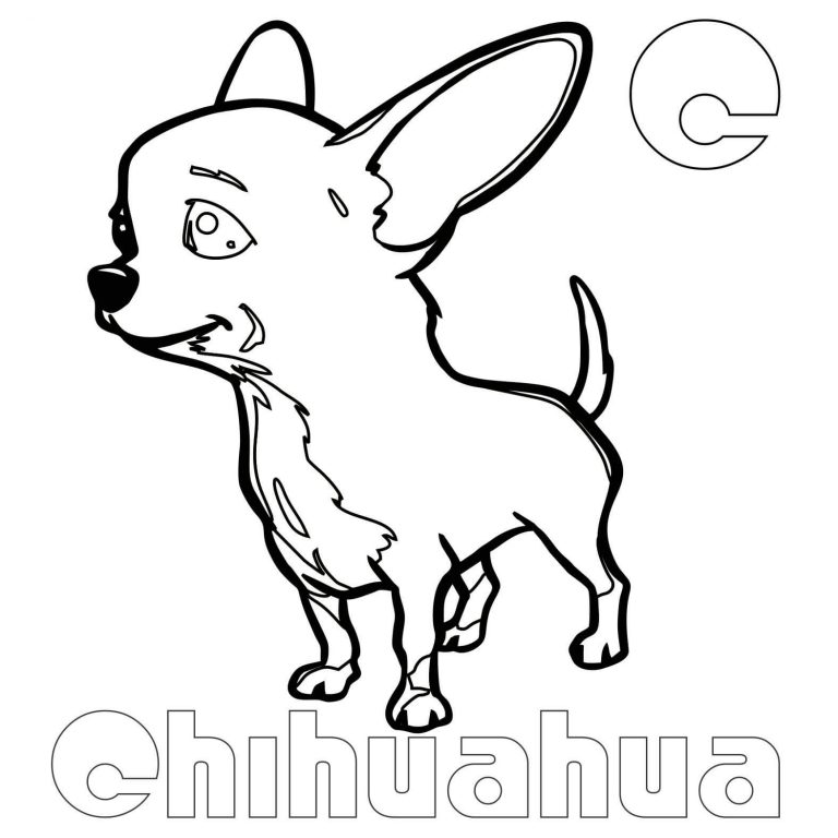 Chihuahua Coloring Pages - Best Coloring Pages For Kids
