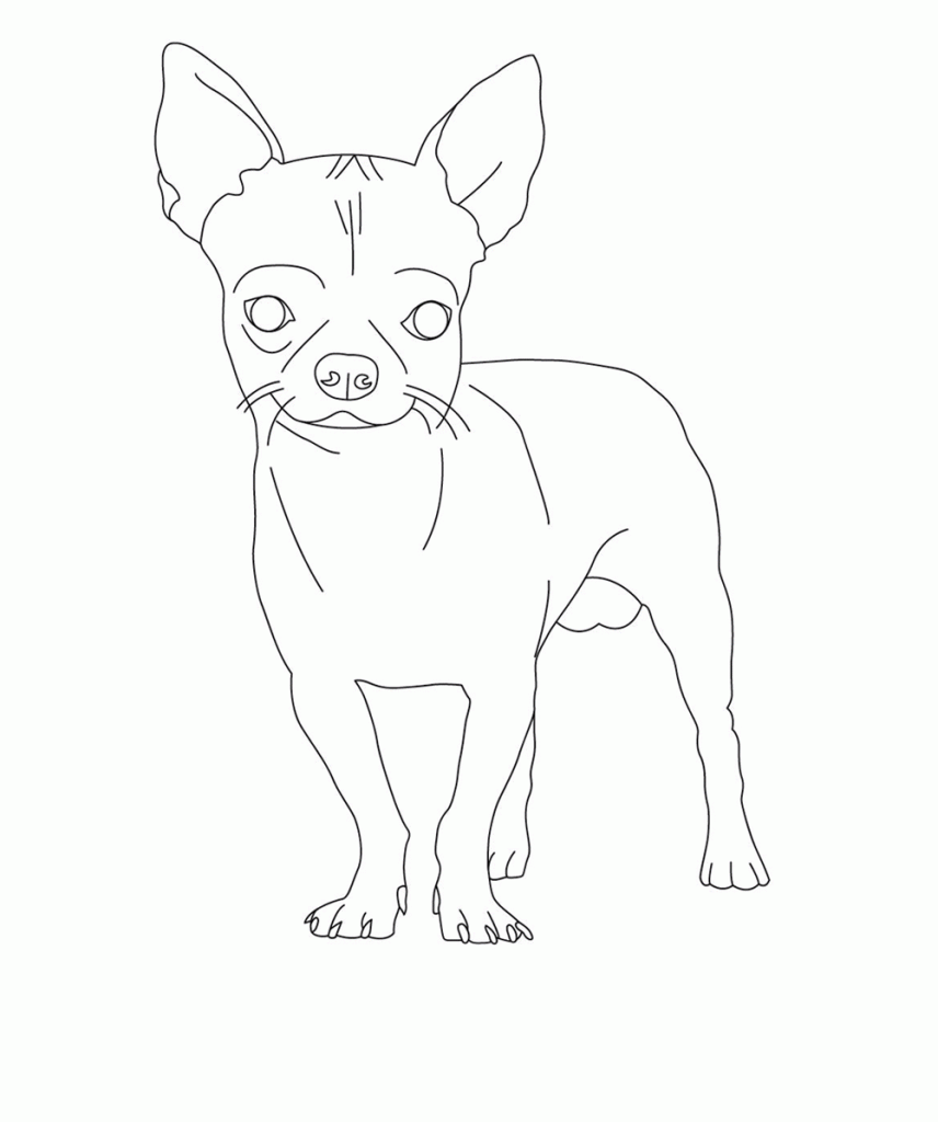 Chihuahua Dog Coloring Pages