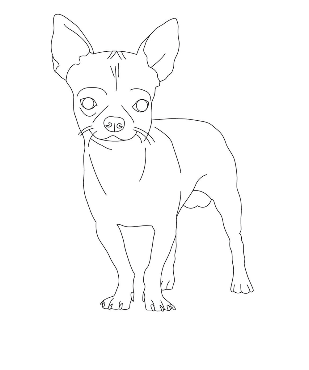 Adult Coloring Pages Printable Chihuahua Coloring Pages