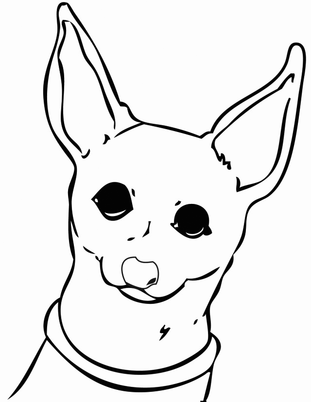 Curious Chihuahua Coloring Page
