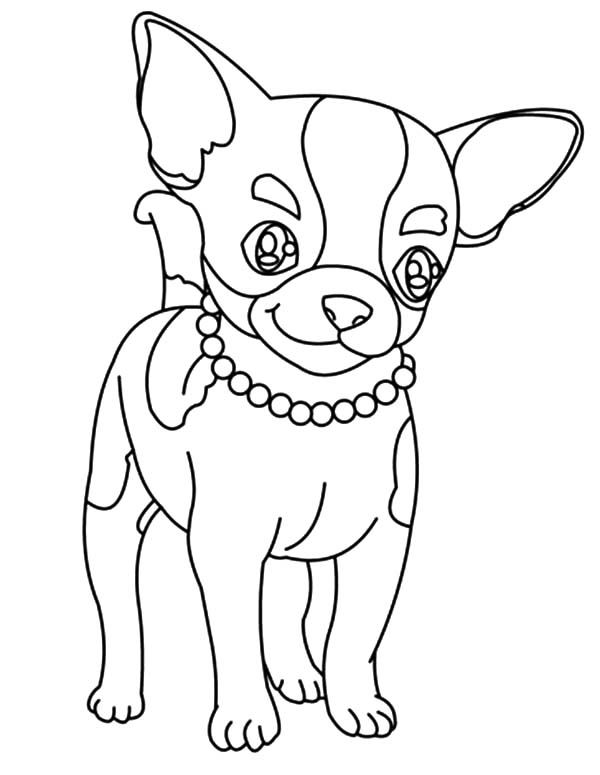 Cute Chihuahua Coloring Page