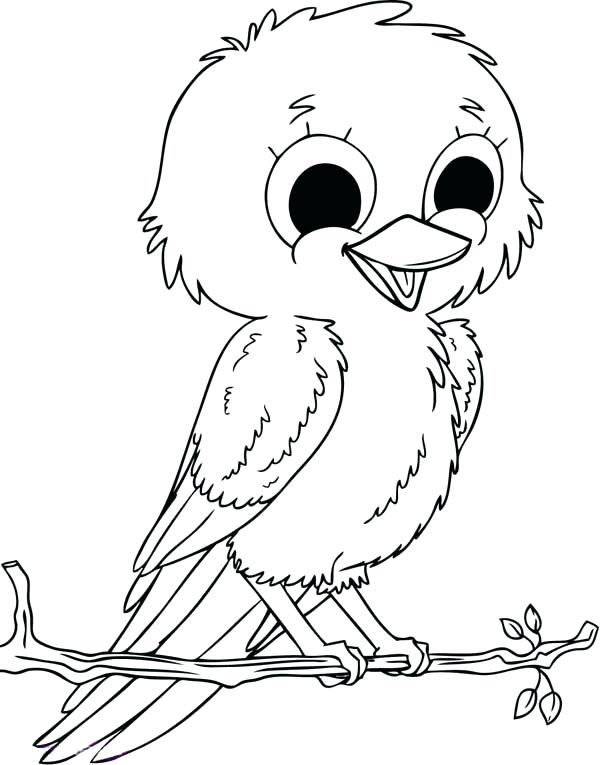 Cute Robin Bird Coloring Pages