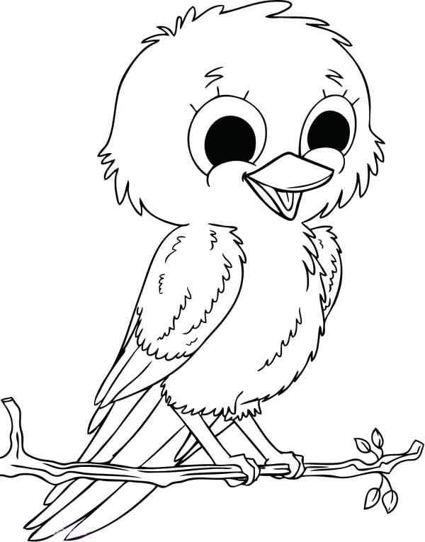 Robin Coloring Pages - Best Coloring Pages For Kids