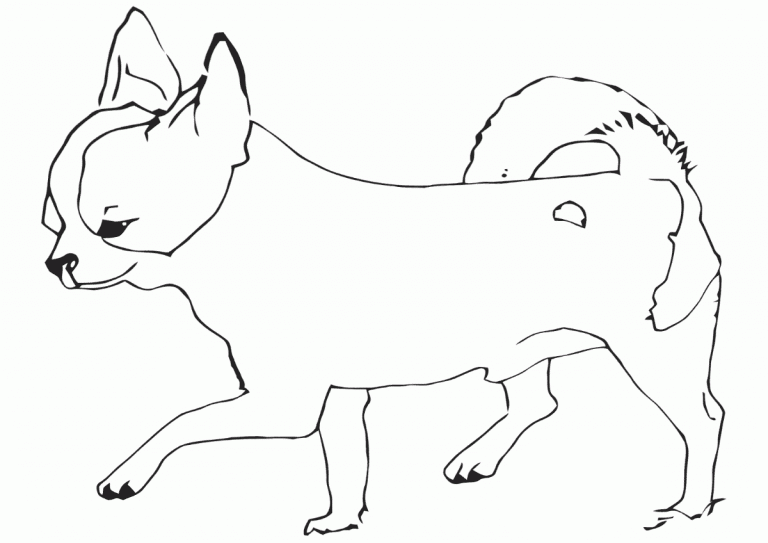 Chihuahua Coloring Pages - Best Coloring Pages For Kids